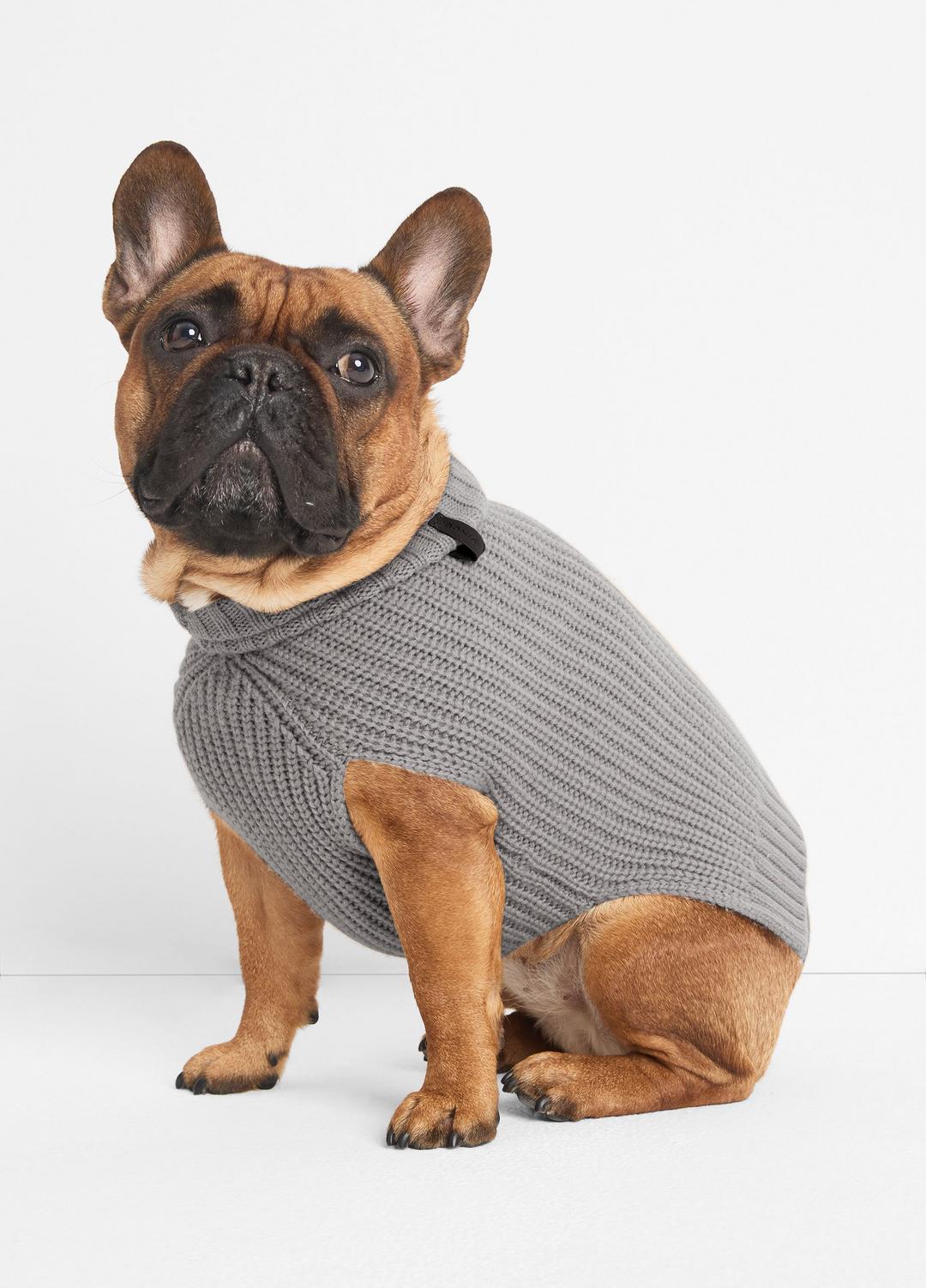 VINCE Best Price - Wool and Cashmere Shaker-Stitch Dog Sweater in Dog Accessories